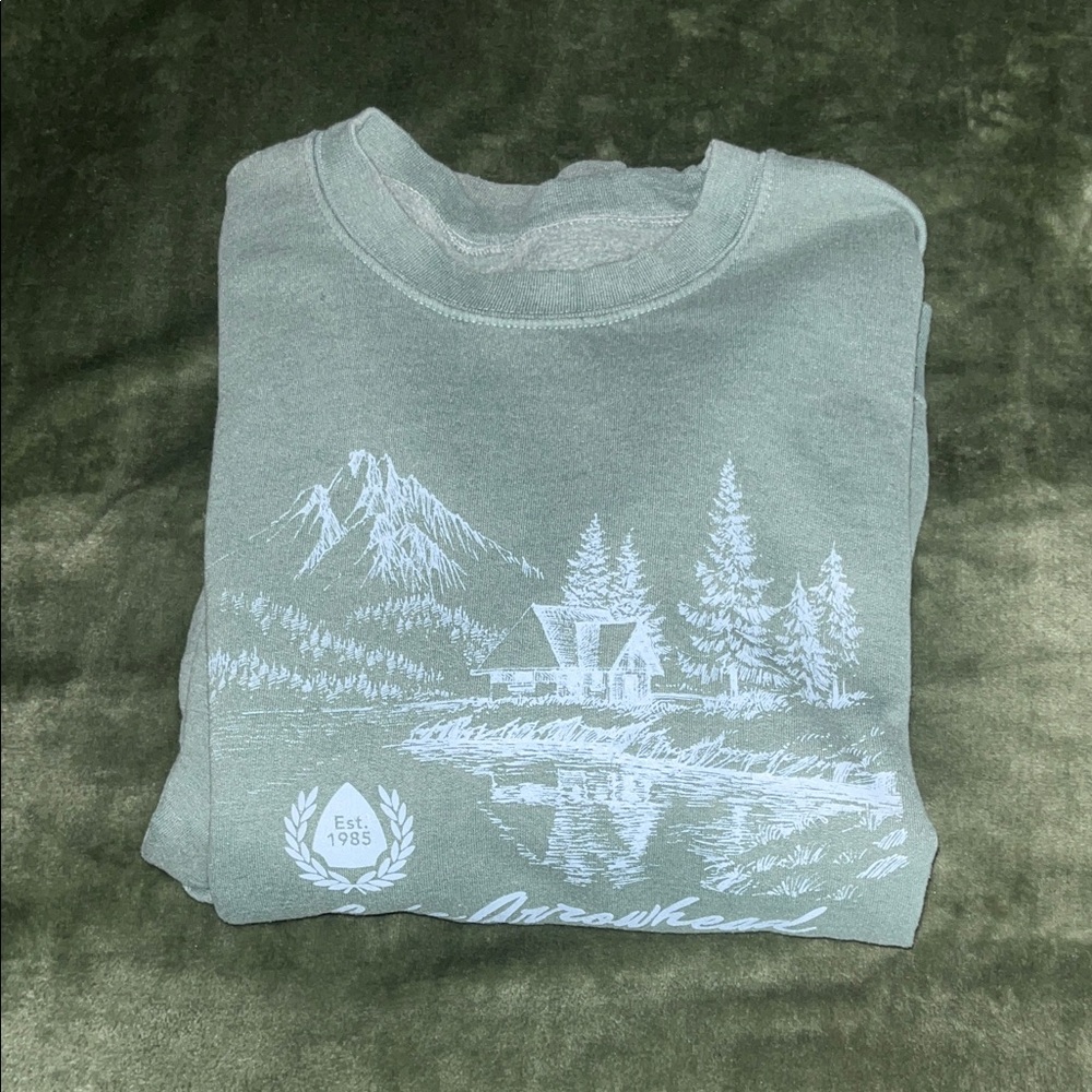Hollister Green Graphic Crewneck